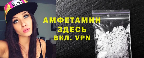 стаф Гатчина
